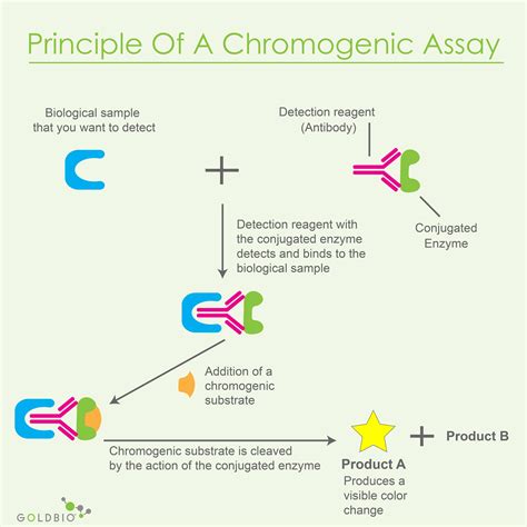 what is assay in chemistry